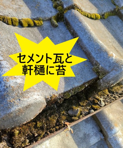 セメント瓦と軒樋に苔が生えている　熊本